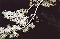 01-nakt1-res.jpg