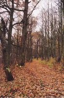 03-kelias-mt.jpg