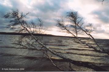 09-saule-tmb.jpg