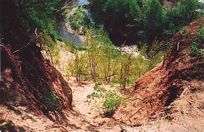 igriuva.jpg